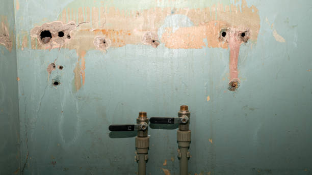 Best Fire Damage Restoration  in Houston, AK