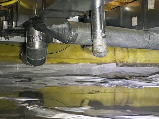 Best Water damage restoration cost  in Houston, AK